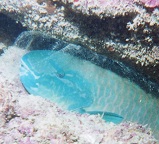 Tunnels 2002